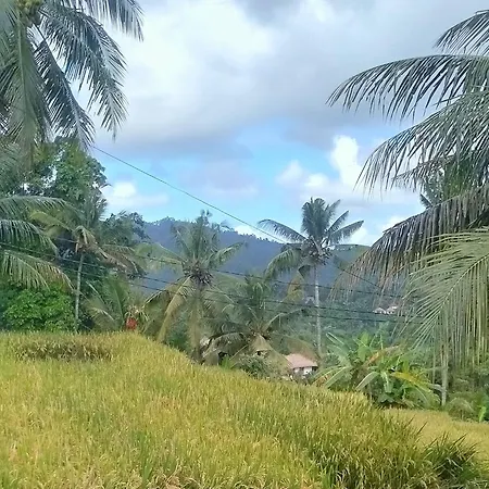 Rumah Tenun